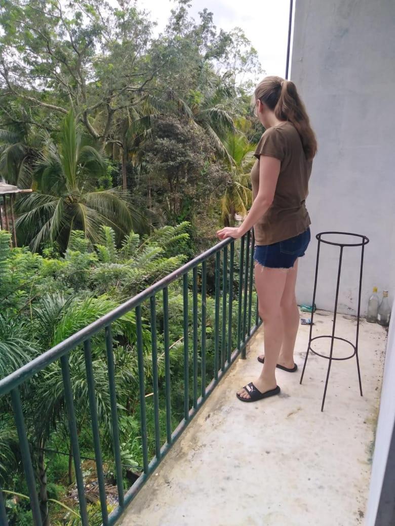 Cottage Home Belihuloya บาลันโกดา ภายนอก รูปภาพ